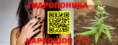 мяу мяу мука Чебоксары