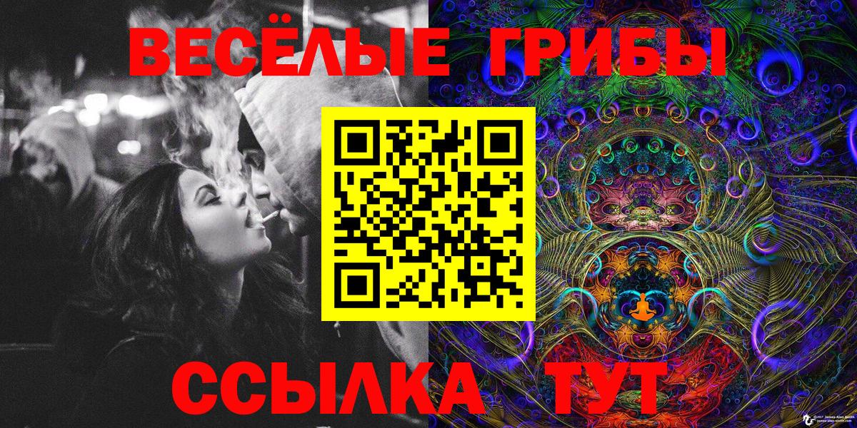 Артём  Галлюциногенные грибы мицелий  Вход с VPN 
